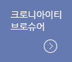 브로슈어 보기